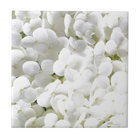 Hydrangea Weiße Blumenmuster Fliese (Vorderseite)