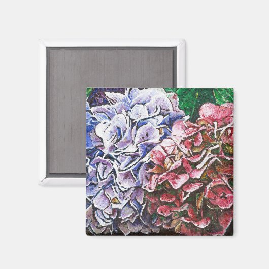 Hydrangeas 2010 magnet (Vorderseite/Rückseite)