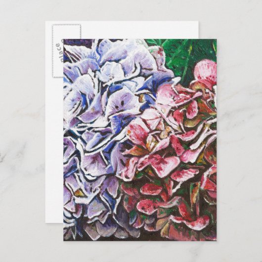 Hydrangeas 2010 postkarte (Vorne/Hinten)