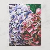 Hydrangeas 2010 postkarte (Vorderseite)