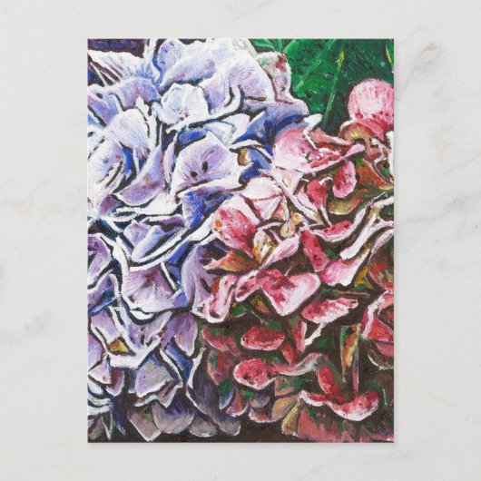 Hydrangeas 2010 postkarte (Vorderseite)