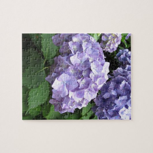 Hydrangeas an Trebah Gärten, Cornwall Puzzle (Horizontal)