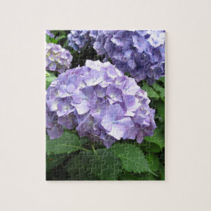 Hydrangeas an Trebah Gärten, Cornwall Puzzle