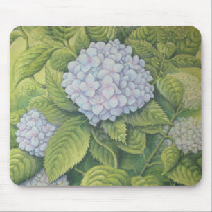 Hydrangeas bei Lanhydrock im Pastell Mousepad