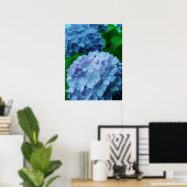 Hydrangeas {blau} | Poster (Heimbüro)