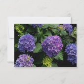 Hydrangeas blauer lila Blumengarten Save The Date (Rückseite)