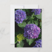 Hydrangeas blauer lila Blumengarten UAWG RSVP Karte (Rückseite)
