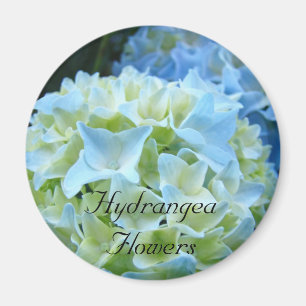 Hydrangeas-Blume-Magnet Blue Hydrangeas Floral Magnet