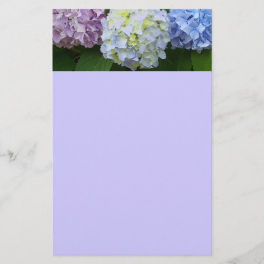 Hydrangeas Briefpapier (Vorderseite)