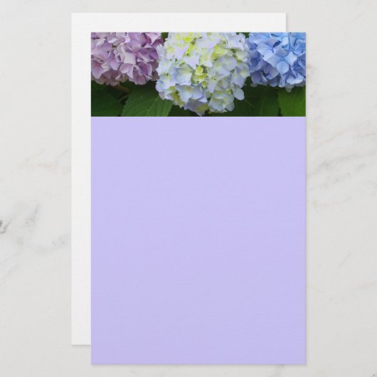 Hydrangeas Briefpapier (Vorne/Hinten)