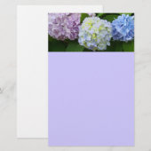 Hydrangeas Briefpapier (Vorne/Hinten)