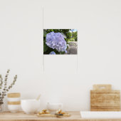 Hydrangeas by the Roadside – Nature Photography Poster (Küche)