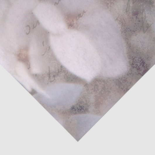 Hydrangeas Dusty Rose Rosa Tissue Paper Seidenpapier (Ausschnitt)