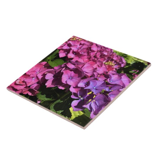 Hydrangeas Fliese (Seite)