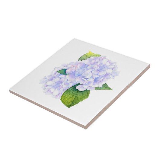 Hydrangeas Fliese (Seite)