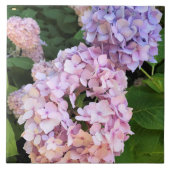 Hydrangeas Fliese (Vorderseite)