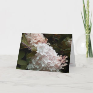 Hydrangeas Floral Birthday Karte