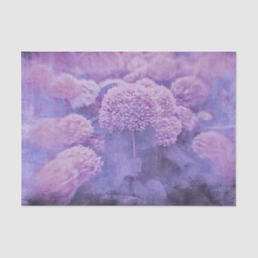Hydrangeas Floral Chic Lila Vintage Textur Seidenpapier (Vorderseite)