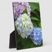 Hydrangeas Fotoplatte (Seite)