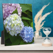 Hydrangeas Fotoplatte (Seite)