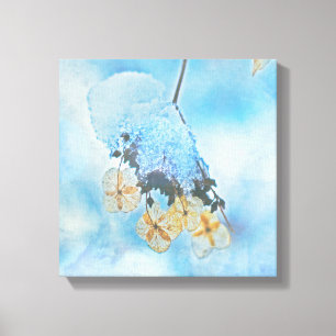 Hydrangeas, gefroren leinwanddruck