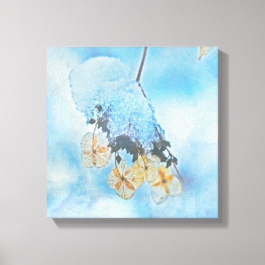 Hydrangeas, gefroren leinwanddruck (Vorderseite)