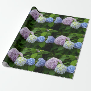Hydrangeas Geschenkpapier
