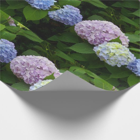 Hydrangeas Geschenkpapier (Ecke)
