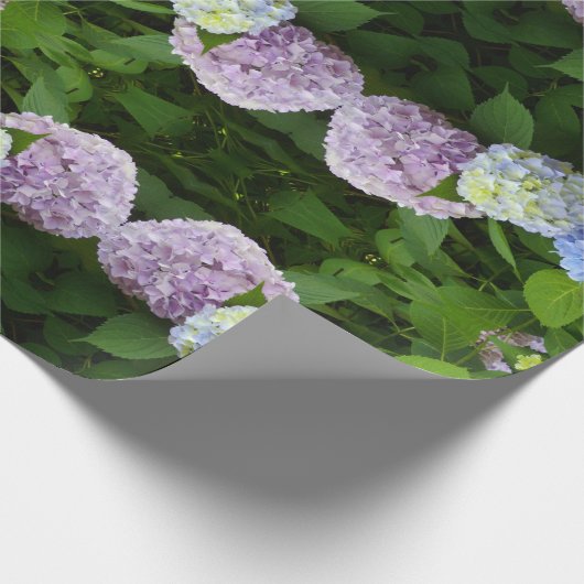 Hydrangeas Geschenkpapier (Ecke)