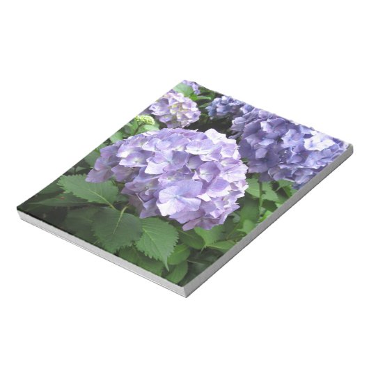 Hydrangeas im Trebah Gardens, Cornwall Notizblock (Rotiert)