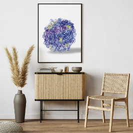 Hydrangeas in Aquarellen - Kunstdrucken von Blumen Poster