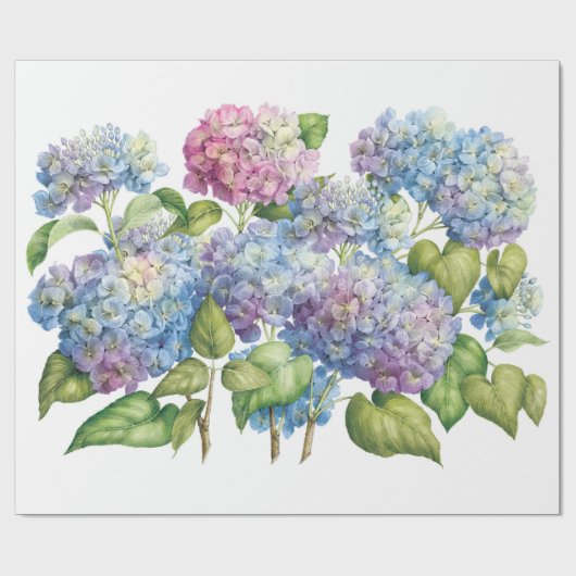 Hydrangeas in Bloom Geschenkpapier (Flach)