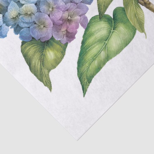 Hydrangeas in Bloom Seidenpapier (Detail)