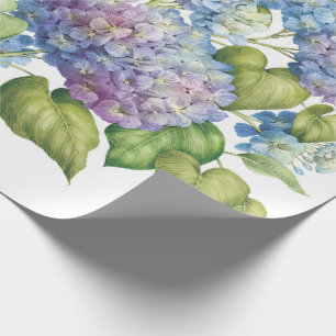 Hydrangeas in der Blüte Geschenkpapier