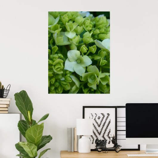 Hydrangeas in Grün Poster (Heimbüro)