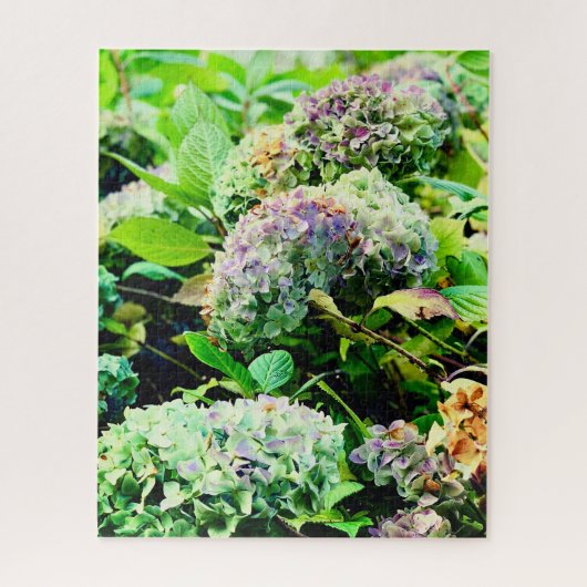 Hydrangeas in Nordirland Puzzle (Vertikal)