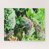 Hydrangeas in Nordirland Puzzle (Horizontal)
