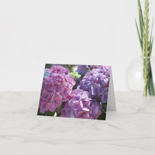 Hydrangeas-Karte Karte (Vorderseite)