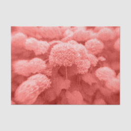 Hydrangeas Korallenweiße Elegante Vintag Floral Seidenpapier