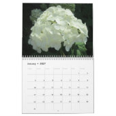 Hydrangeas-kundengerechter Blumen-Kalender Kalender (Jan 2027)