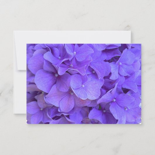 Hydrangeas Lavender lilac Save The Date (Rückseite)