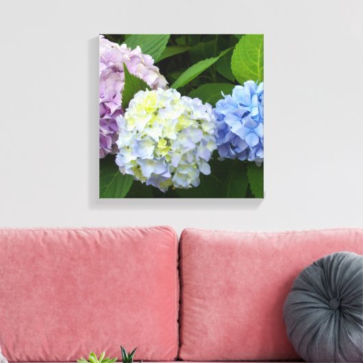 Hydrangeas Leinwanddruck (Insitu (Wohnzimmer))