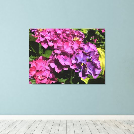 Hydrangeas Leinwanddruck (Insitu (Holzboden))