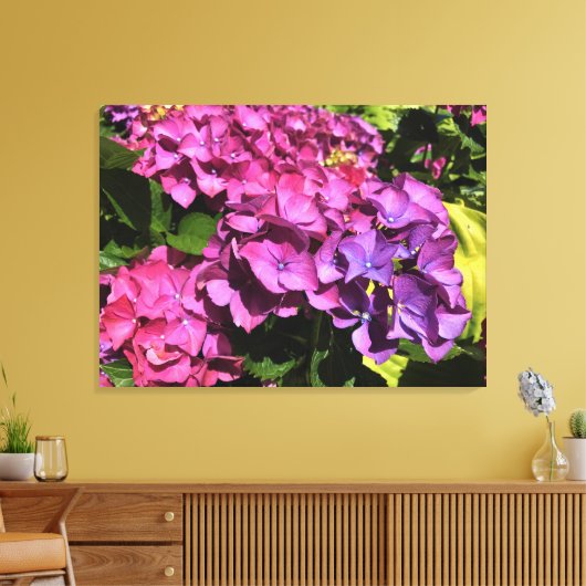Hydrangeas Leinwanddruck (Insitu (Wohnzimmer))