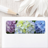 Hydrangeas lila blau (Insitu)