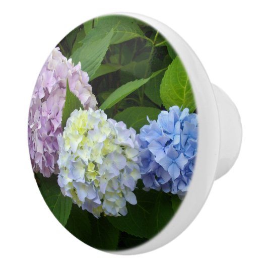 Hydrangeas lila blau keramikknauf (Rechts)