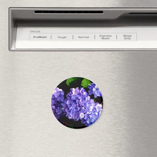 Hydrangeas, lila blauer Blume Magnet (In Situ (Geschirrspüler))
