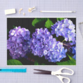 Hydrangeas, lila blauer Blume Seidenpapier (Handwerk)
