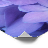 Hydrangeas {Lila} | Poster (Ecke)