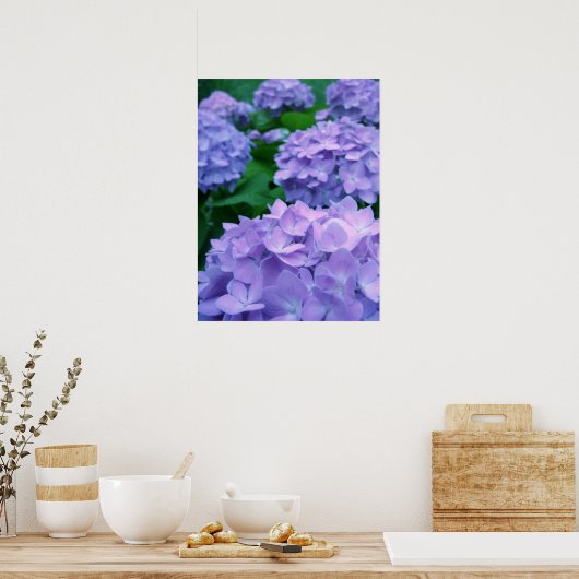 Hydrangeas {Lila} | Poster (Küche)